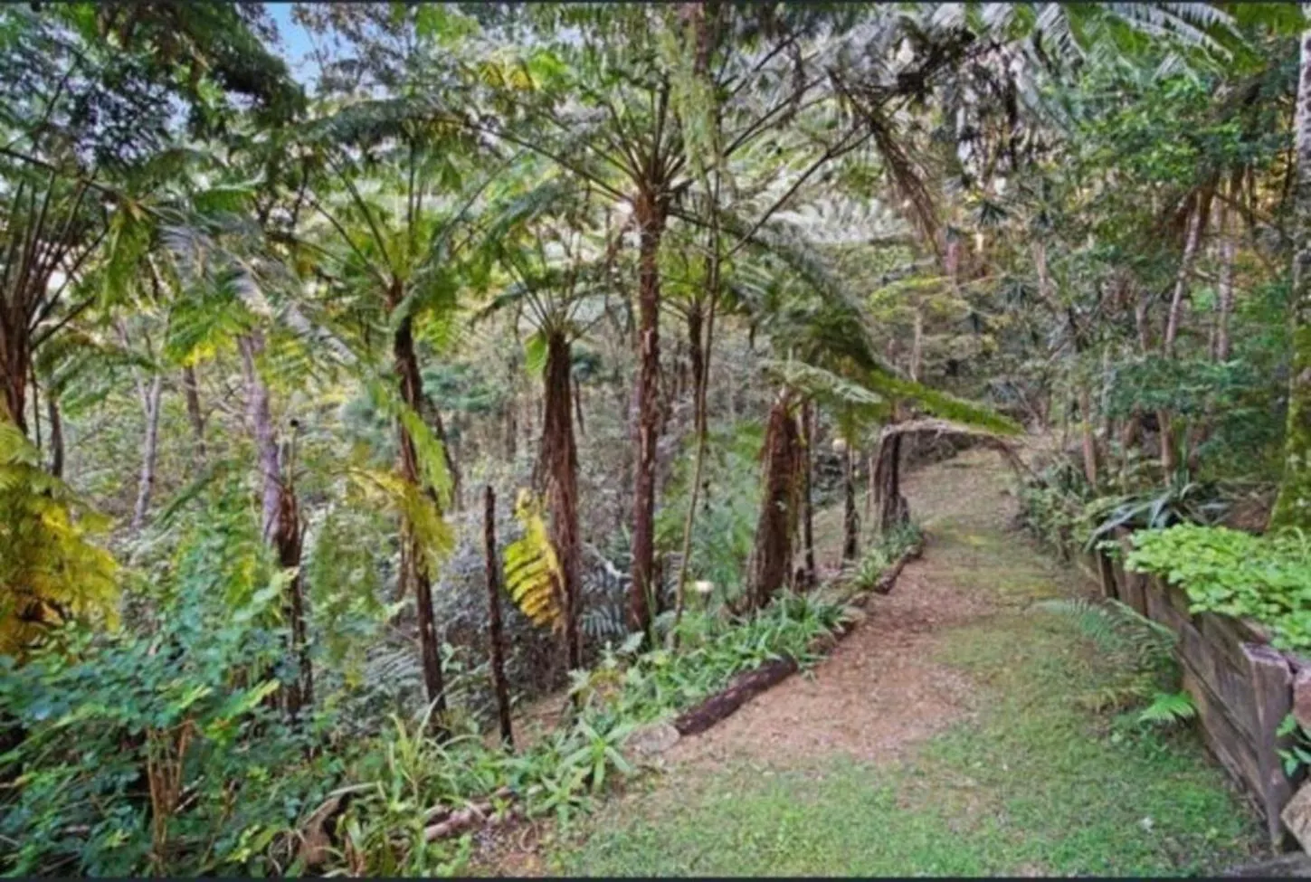 Acreage Near Currumbin Beach Currumbin Valley 0*,  Australia