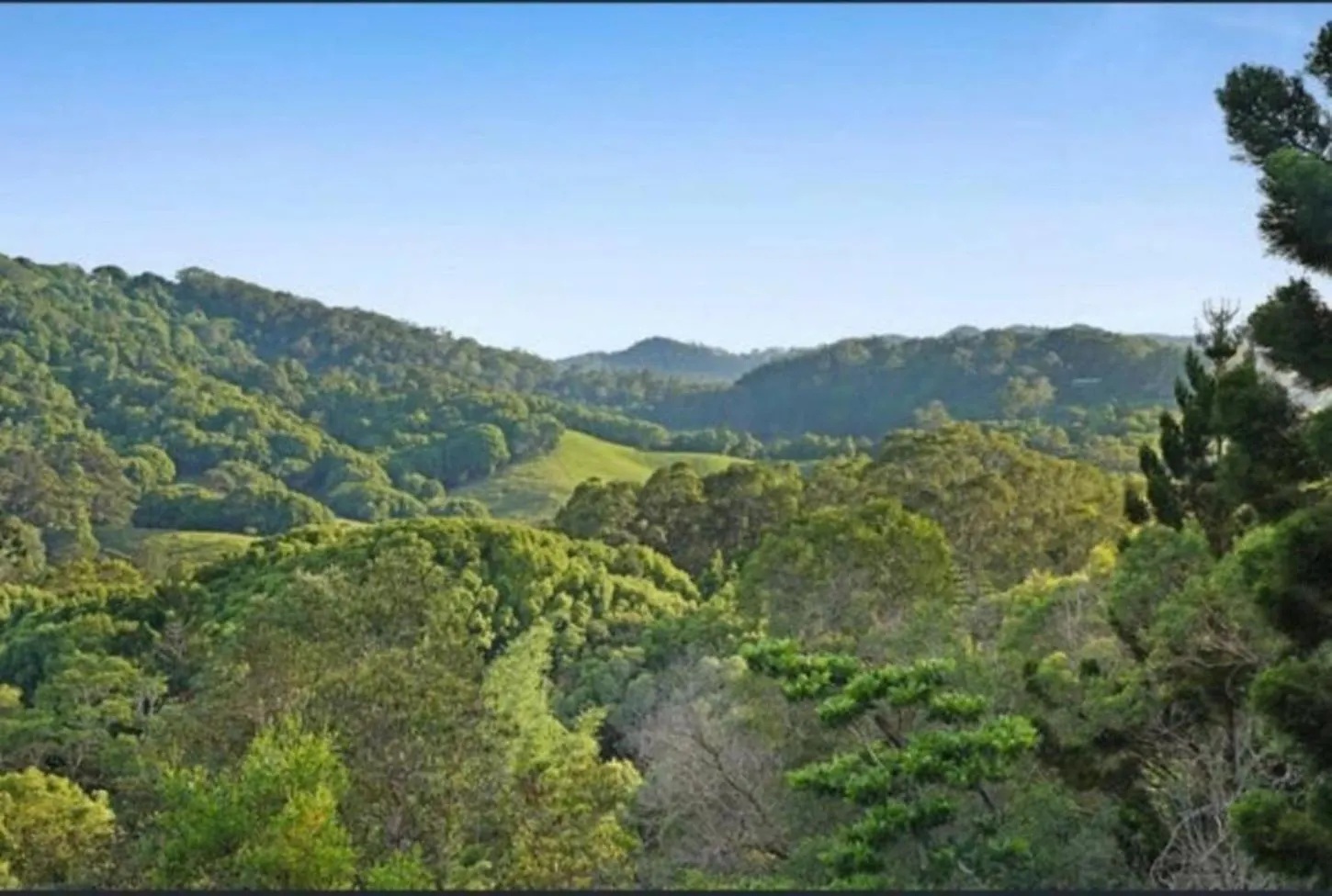Acreage Near Currumbin Beach Currumbin Valley Australia